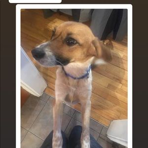 Meet your Posher, Brett